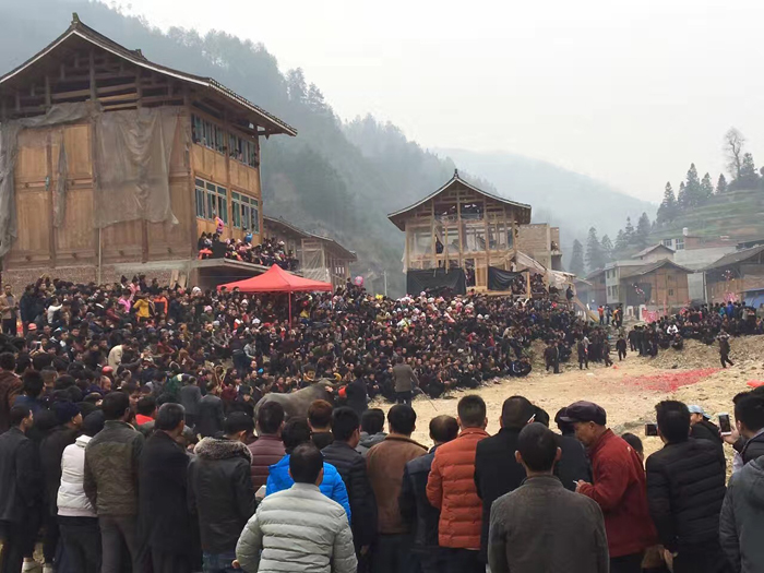 1488799180755337.jpg 44.jpg